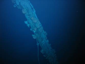 Samson post situated on well deck